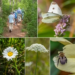 Mindful Outdoor Experience