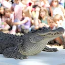 Wild Things Inc. at the South Lake Tahoe Library