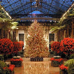 Experiences the Magic of the Holidays at Longwood Gardens