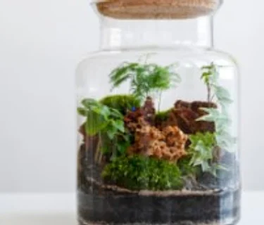 Terrarium Workshop