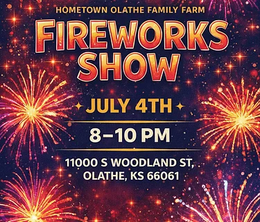 July 4th Fireworks Show!