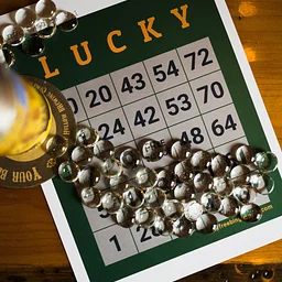 Bingo Night