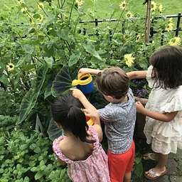YOUNG SPROUTS GARDENING