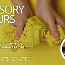 Sensory Hours | Kinetic Sand, Fossil Cart