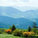 Introduction to Appalachian Ecology