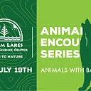 Animal Encounter Series: Animals with Bad Reps