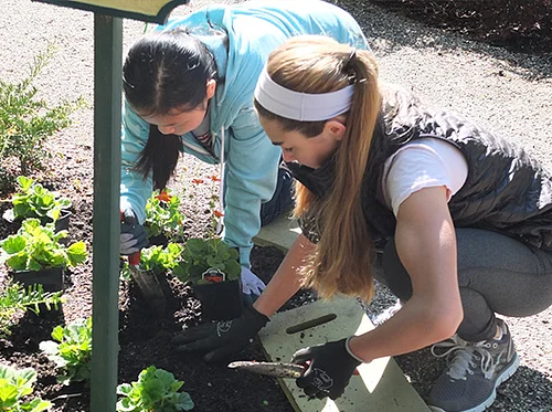 Weekly Ground Force Session