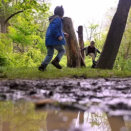 Day-Off Camp