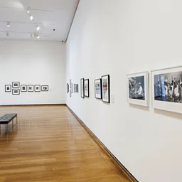 Curator's Tour: A Long Look