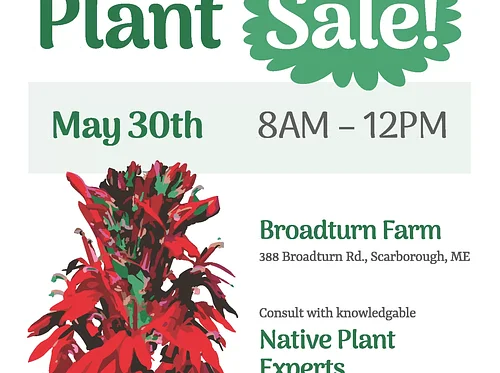 Native Plant Sale