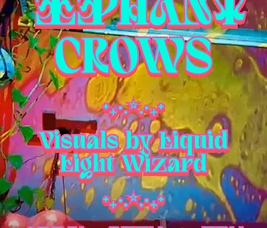 Accendino & Elephant Crows Live Music