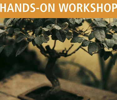 Bonsai for Beginners Part 2