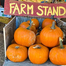 Giving Thanks Farm Stand