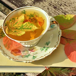 Afternoon Tea