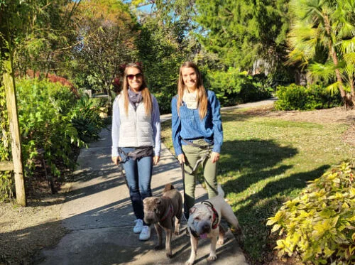 Dogs’ Day in the Garden