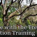 Breathe with the Trees Relaxation Training
