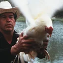 Cockfighter at Speed Cinema