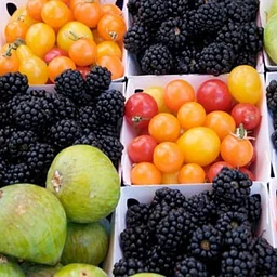 El Dorado County Certified Farmer’s Market