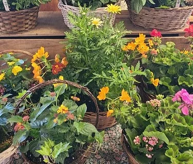 Mother’s Day Planting Make ‘n Take