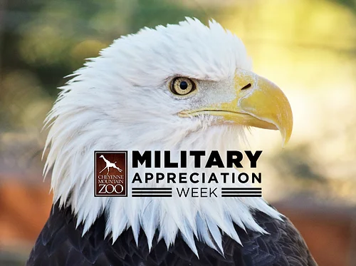 Military Appreciation Week