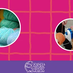 Fiber to Fashion: Spinning Cotton into Yarn