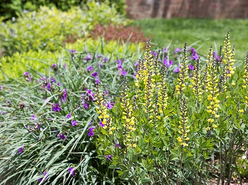 Designing Useful, Beautiful Gardens