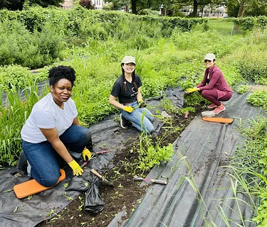 Farm Community Volunteer Days