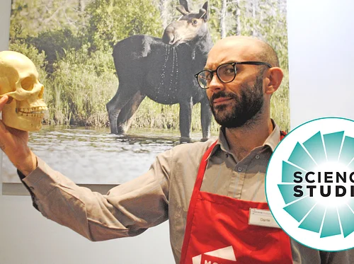 Science Studio: Human Evolution