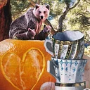 Connecting Through Collage to Your Animal Guide