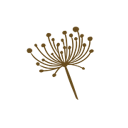 Roots Cut Flower Farm