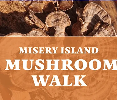 Misery Island Mushroom Walk