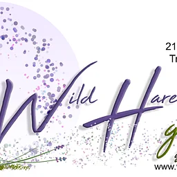 Wild Hare Gallery Call for Artists