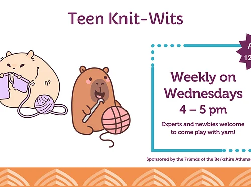 Teen Knit-Wits