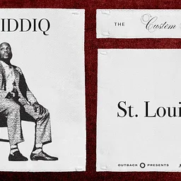 Ali Siddiq: The Custom Fit Tour