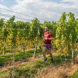 Rhode Race Wine Run