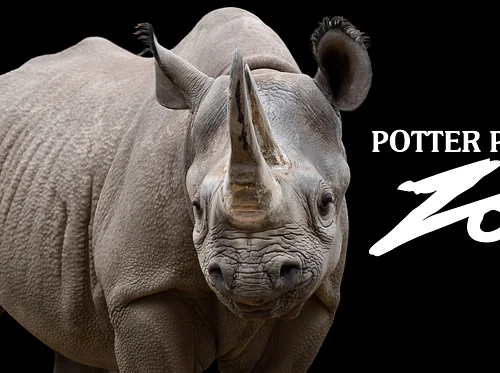 World Rhino Day Celebration