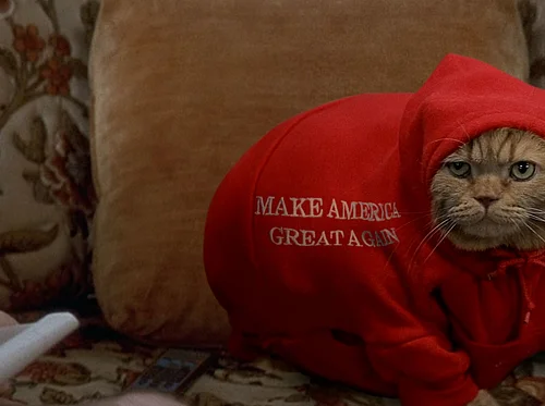 Hello Dankness at Speed Cinema