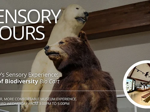 Sensory Hours | Fossils, Fossil Cart