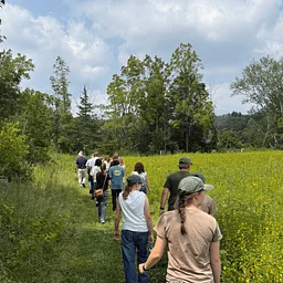 Planting for Pollinators: Meadow Inspiration Tour
