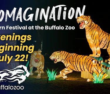 Zoomagination: Lantern Festival at the Buffalo Zoo
