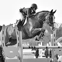 Oregon High Desert Classic Horse Show