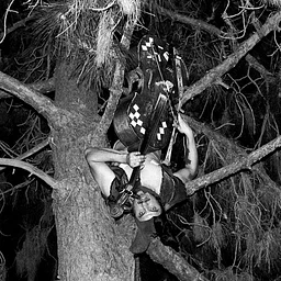 Rushadicus the Cello Goblin