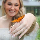 Butterfly Releases