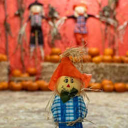2026 Fall Festival