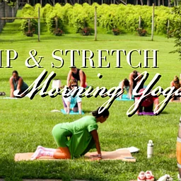 Sip & Stretch Morning Yoga