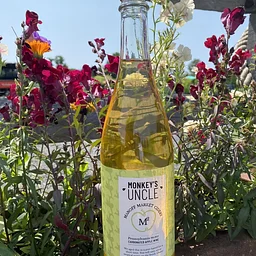 Summer Cider Sundays