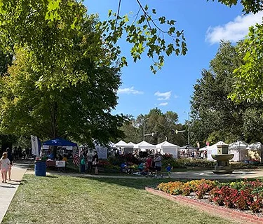 Portfolio Review Workshop