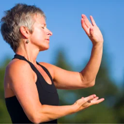 Tai Chi Video