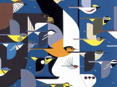 Charley Harper: The Geometric Genius
