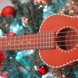 Seasonal Ukulele Ensemble after Winter Light Parade